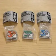 ヒトカゲ フシギダネ ゼニガメ 30周年 メタルチャームマスコット ポケモン