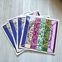 Passione・パッショーネ　コントラバス　H線 Passione・パッショーネ コントラバス H線 - メルカリ