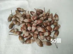 koron様　ご検討用