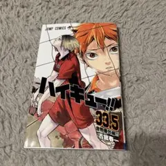 ハイキュー!! 33.5 劇場版特別編