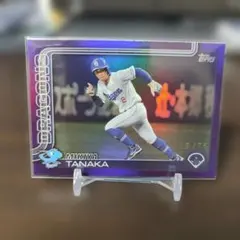 Item thumbnail for item baad4833-bb03-43bb-8332-2977d561d85e