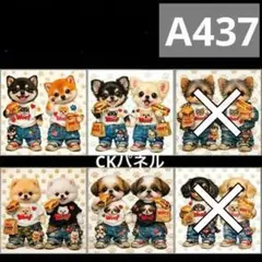 【A437】CK様パネル　わんこ