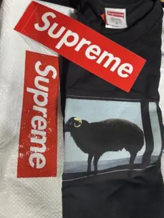 2026年最新】supreme ダミアンハーストの人気アイテム - メルカリ