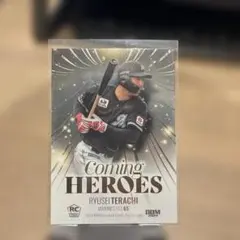 Item thumbnail for item 3039ac51-5d3b-4073-a4fa-f9900d88ad3d