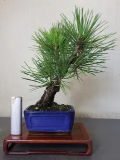 ひろやん様 リクエスト 4点 まとめ商品