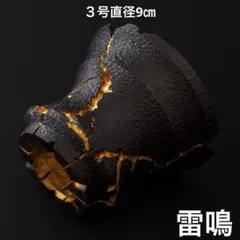 雷鳴〜金〜 ３号直径9㎝ 3Dプリンター鉢 作家鉢 植木鉢 アガベ パキプス
