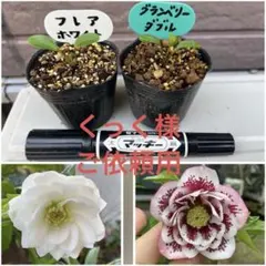 くっく様 リクエスト 3点 まとめ商品