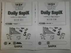 2025年最新】デイリーサピックスの人気アイテム - メルカリ