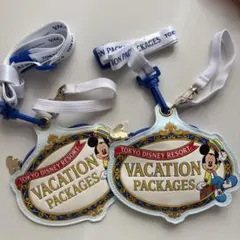 ディズニー パッケージグッズ ショルダーパスケース