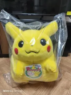 ポケモン30周年記念 おかえり!ピカチュウ １/１