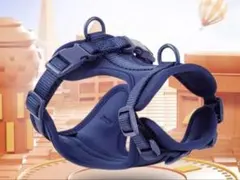 Item thumbnail for item 4c0c950f-432c-445d-8b3c-e4aae3e4a1ed