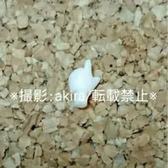 2026年最新】重音テト ぬいぷりけの人気アイテム - メルカリ