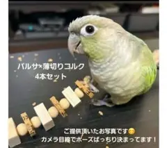 194〗インコおもちゃ4本 鳥おもちゃ バルサ バードトイ ガジガジ 破壊