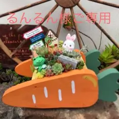 ★多肉植物　寄せ植え〜手作りにんじん型プランター寄せ〜★