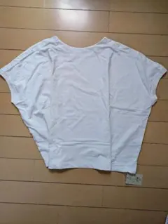 Item thumbnail for item a2f6b1d9-0dee-42d1-a436-7cfdb3b84949