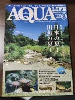 月刊アクアライフ 2017年8月号 日本淡水魚