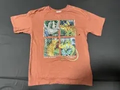 キッズTシャツ H&M 動物柄 Angela Mckayコラボ