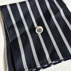 Item thumbnail for item 88eb4070-fcdb-4d13-9168-3f7c48458da3