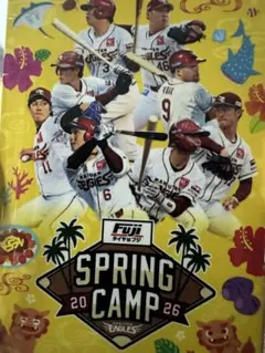 Item thumbnail for item 11cd5135-e37e-47b9-a411-a1fc8546b87e