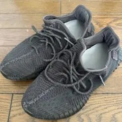 adidas YEEZY Boost 350 V2 