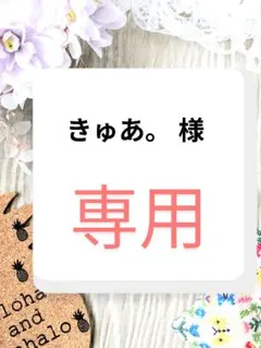 きゅあ。様　専用ページ