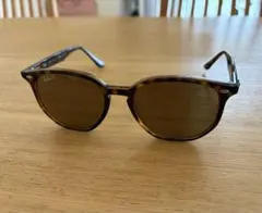 Ray-Ban サングラス［RB4306］