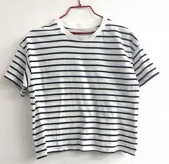 ボーダー半袖Tシャツ 150