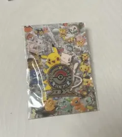 2026年最新】ポケモンセンタートウキョーDX ロゴピンズの人気アイテム