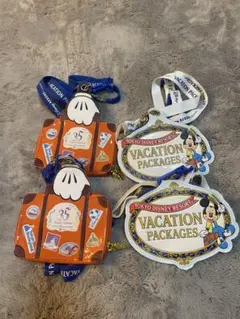 東京ディズニーリゾート ミッキーパスケース5点セット