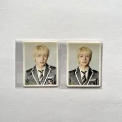 パンダドラゴン ようた ステッカー パラゴン