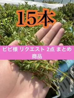 ビビ様 リクエスト 2点 まとめ商品