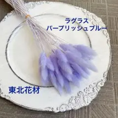 済　くるみこ様　ご専用