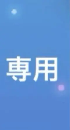 専用