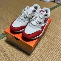 Nike Air Max 1 30th anniversaryホワイト/レッド