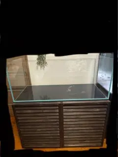 2026年最新】水槽台 ADAの人気アイテム - メルカリ