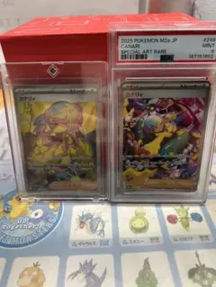 カナリィSAR PSA9 + カナリィSR