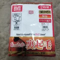 Item thumbnail for item 1d4afc29-191d-4c0f-ac6b-d2ca819b0c61