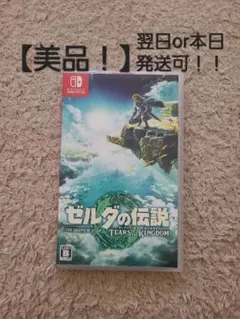 ゼルダの伝説 ティアーズ オブ ザ キングダム