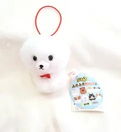 isao様 リクエスト 2点 まとめ商品