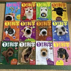 Item thumbnail for item 0b849edb-2b84-48bf-bcad-9b0a1f379a50