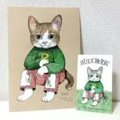 猫イラスト ポストカード セット