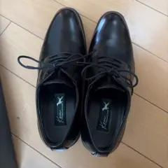 Item thumbnail for item 7a85524f-d41d-4564-9bce-9a34538c3475