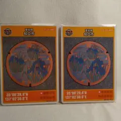 マンホールカード 愛知県 知立市 アイリス 1995年２枚