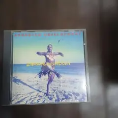 23 SKIDOO URBAN GAMELAN NEW WAVE DUB - メルカリ