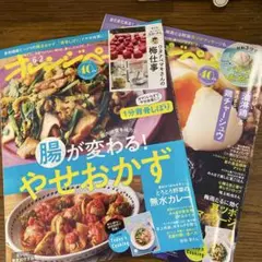 オレンジページ　6/2.17 2冊