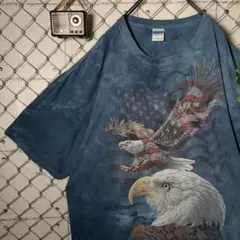 USA製⭐︎タイダイ柄 鷲 鳥 ヴィンテージTシャツ ビッグロゴ オーバー 