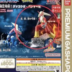 ポケットモンスター 組立可動！ゲッコウガ・バシャーモ