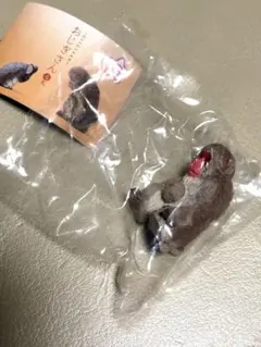 おじぎさん 4礼 ニホンザル