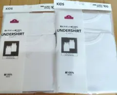 Item thumbnail for item 0bfcc470-e0b1-4019-b793-3a907422249d