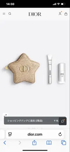 Dior 星型 ゴールドポーチ